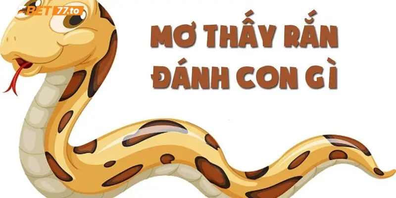 nam-mo-thay-ran-danh-con-gi