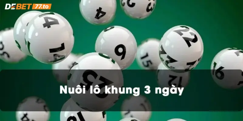 Nuôi lô khung 3 ngày