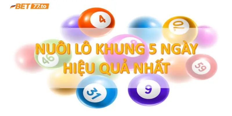 Lô khung 5 ngày 