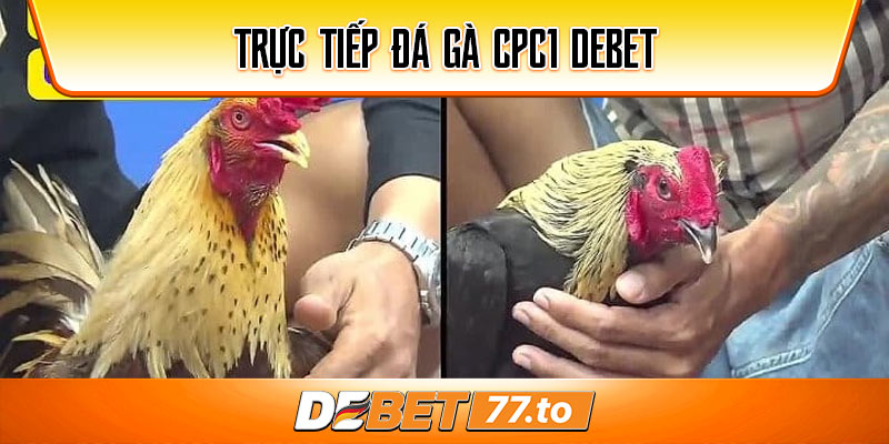 truc-tiep-da-ga-cpc1-debet